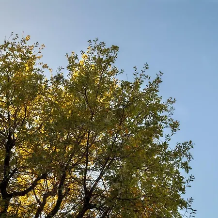 Le Querce Bed & Breakfast 3*