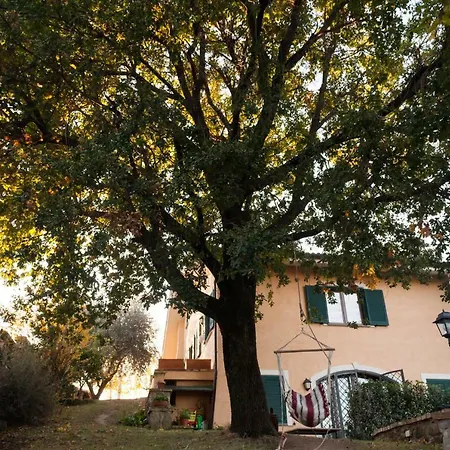 Le Querce * Riano (Rome)