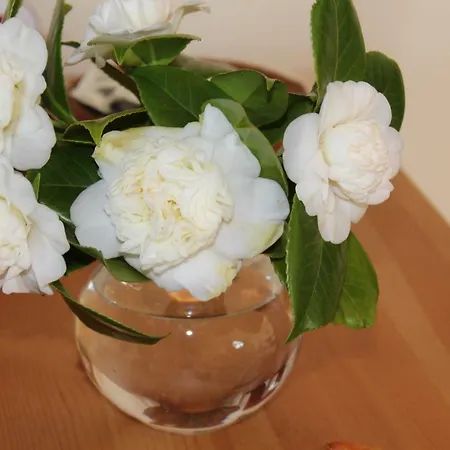 Le Querce 3* Riano (Rome)