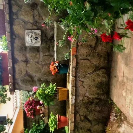 לינה וארוחת בוקר Le Querce Riano (Rome)